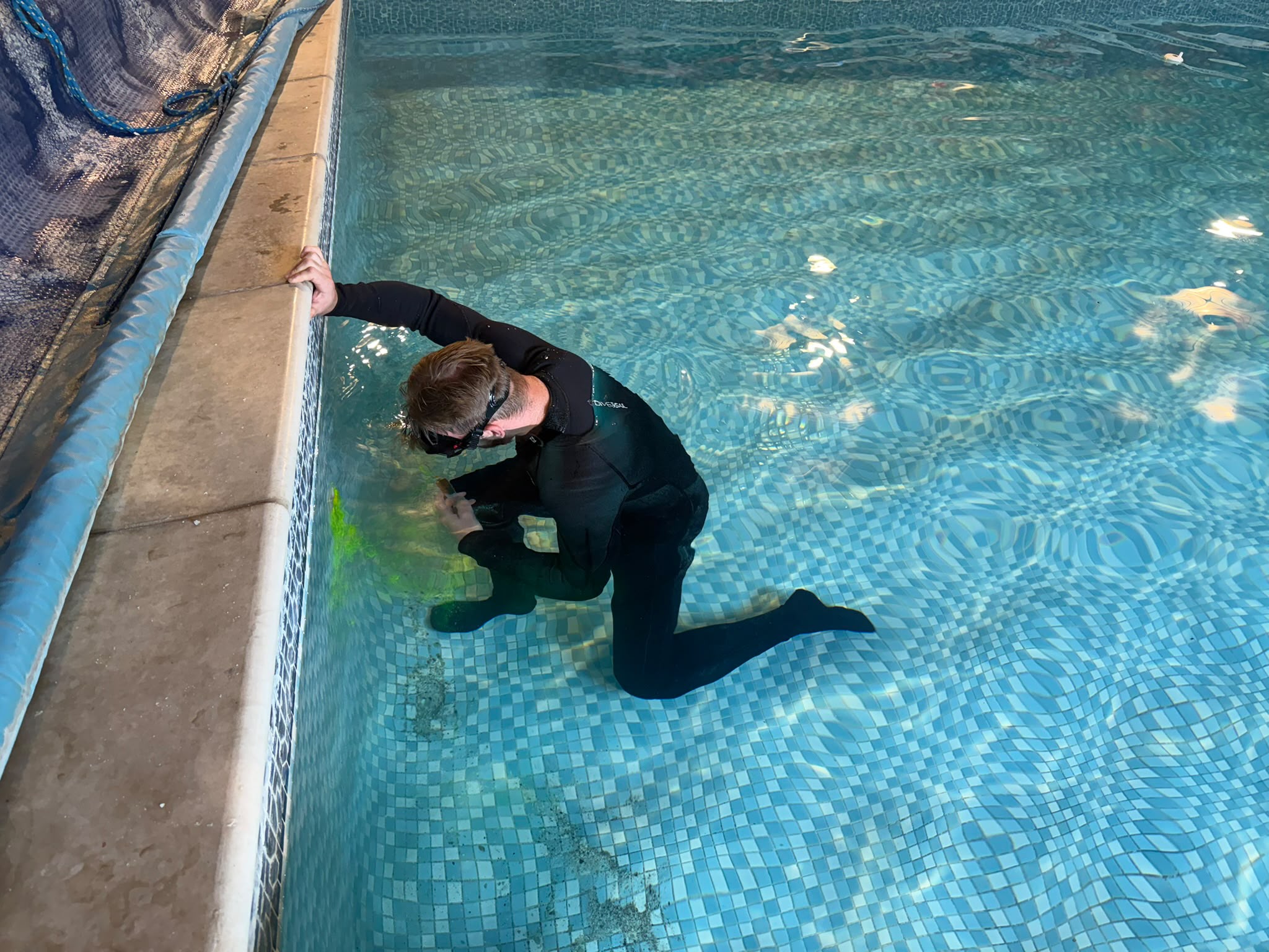 Pool diver inspection with dye testing